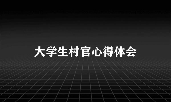 大学生村官心得体会