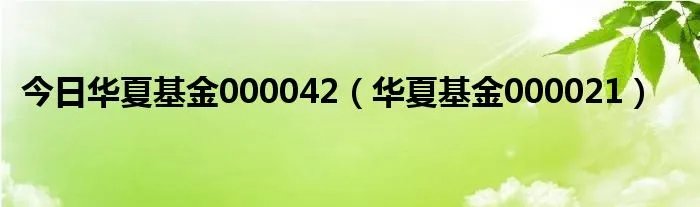 今日华夏基金000042（华夏基金000021）