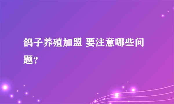 鸽子养殖加盟 要注意哪些问题?