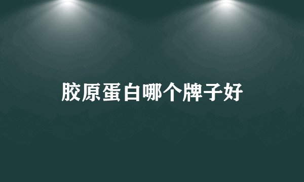 胶原蛋白哪个牌子好