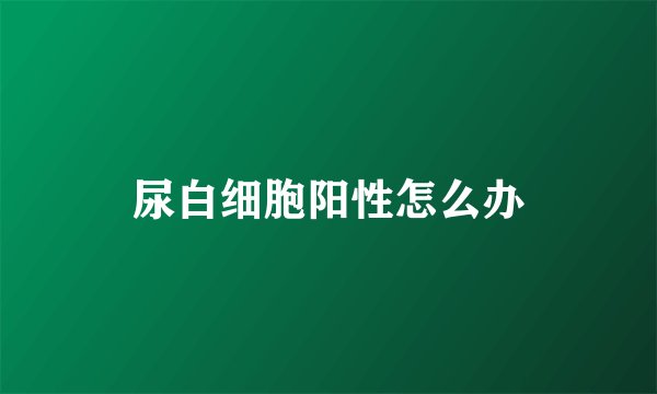 尿白细胞阳性怎么办