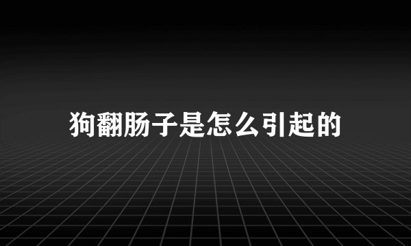 狗翻肠子是怎么引起的