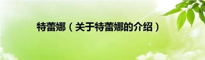 特蕾娜（关于特蕾娜的介绍）