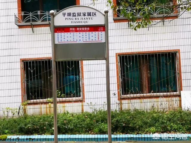 贵州平坝万亩樱花绽放,美爆了这个春天,有去过的吗?有旅游攻略路线吗?