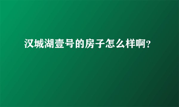 汉城湖壹号的房子怎么样啊？