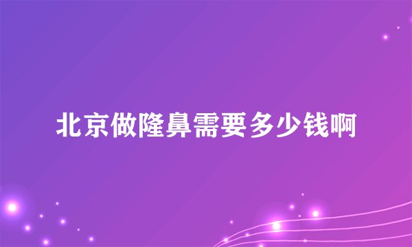 北京做隆鼻需要多少钱啊
