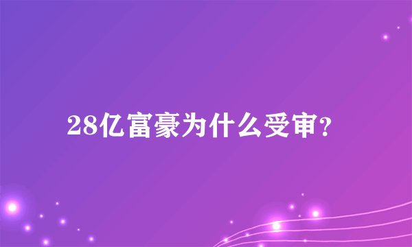 28亿富豪为什么受审?