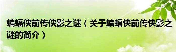 蝙蝠侠前传侠影之谜（关于蝙蝠侠前传侠影之谜的简介）