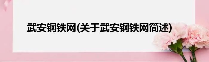 武安钢铁网(关于武安钢铁网简述)