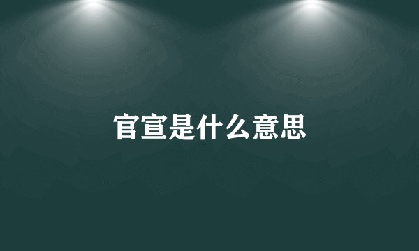 官宣是什么意思