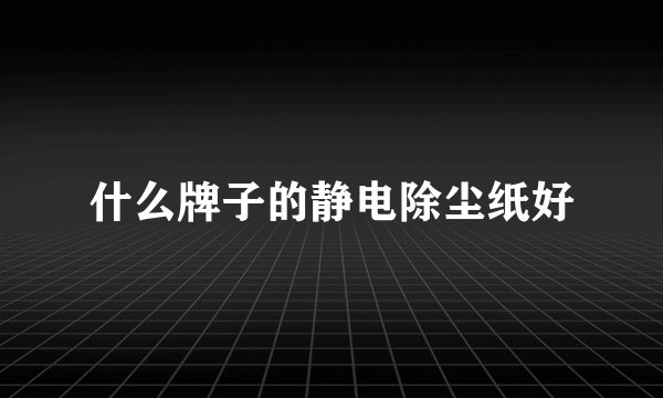 什么牌子的静电除尘纸好