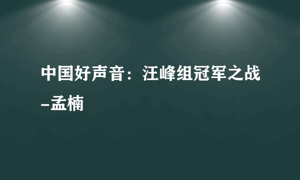 中国好声音：汪峰组冠军之战-孟楠
