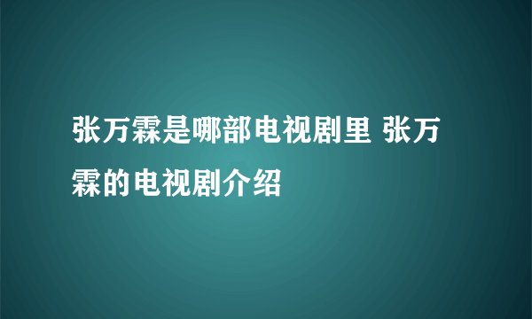 张万霖是哪部电视剧里 张万霖的电视剧介绍
