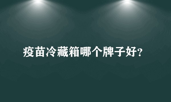 疫苗冷藏箱哪个牌子好？