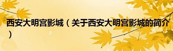 西安大明宫影城（关于西安大明宫影城的简介）