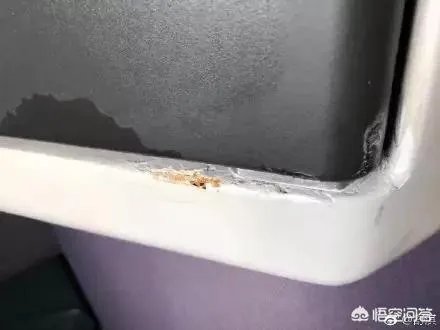 舒淇发文怒斥乘机旅客碰撞电视损坏公物,乘客应该为其不文明行为负责么?