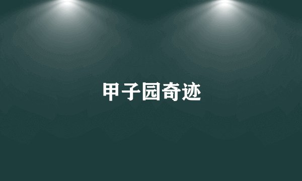 甲子园奇迹