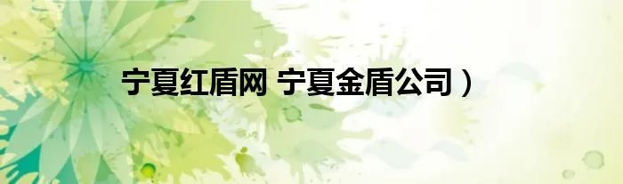 宁夏红盾网 宁夏金盾公司）