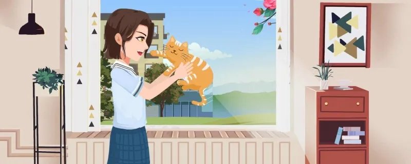 为什么猫咪能像液体一样缩在小盒子里
