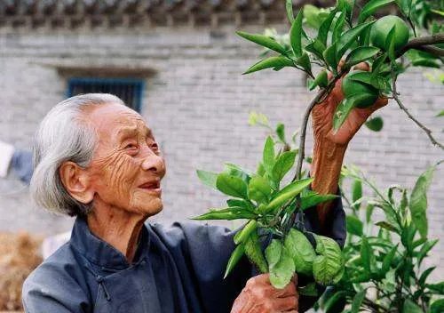 上海百岁老人突破3000,最高年龄113岁,他们的长寿秘诀是什么?