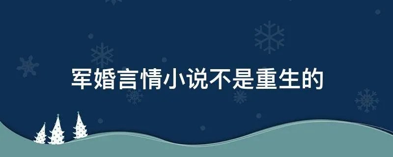军婚言情小说不是重生的