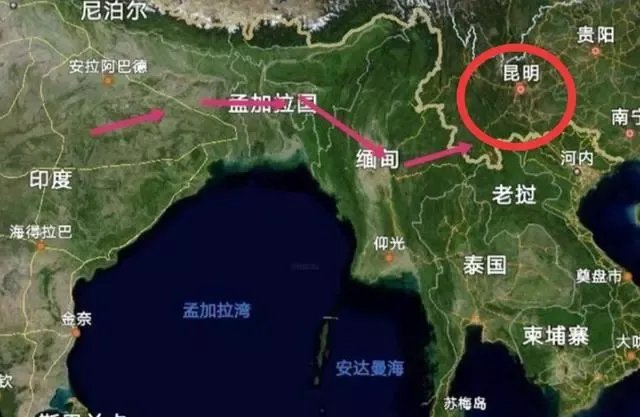云南千亩竹林遭竹蝗啃食,这种竹蝗可以吃吗?