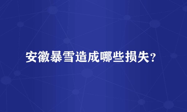 安徽暴雪造成哪些损失?