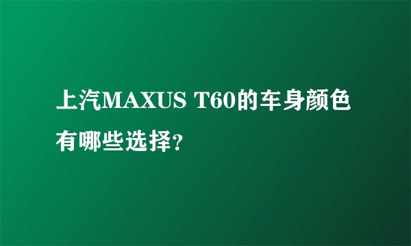 上汽MAXUS T60的车身颜色有哪些选择？