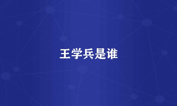 王学兵是谁