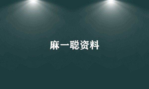麻一聪资料