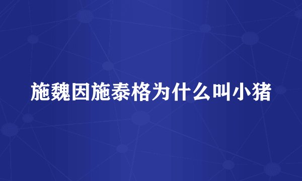 施魏因施泰格为什么叫小猪