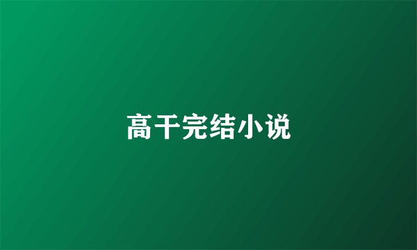 高干完结小说