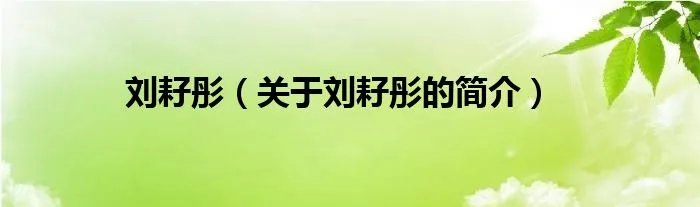 刘耔彤（关于刘耔彤的简介）