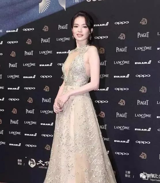 2017金马奖颁奖典礼上,谁的礼服更耀眼?