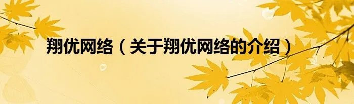 翔优网络(关于翔优网络的介绍)