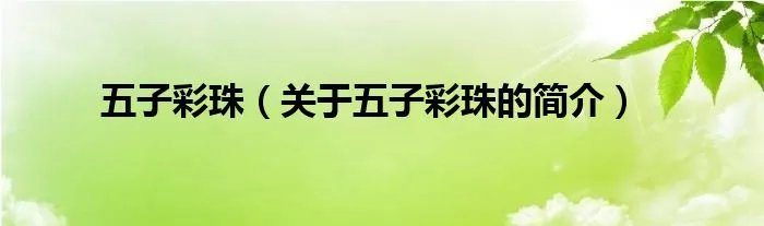 五子彩珠（关于五子彩珠的简介）