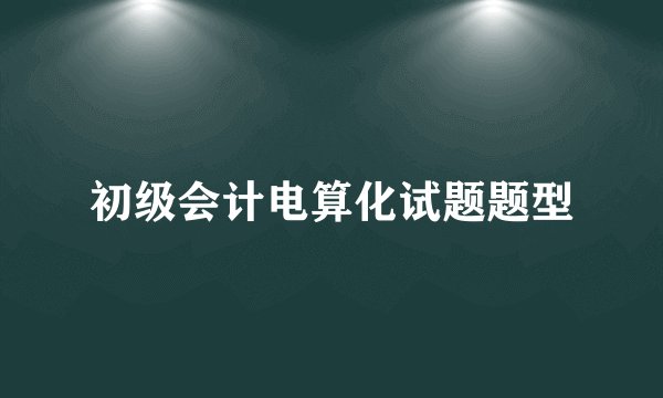 初级会计电算化试题题型
