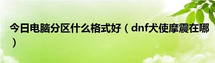 今日电脑分区什么格式好（dnf犬使摩震在哪）