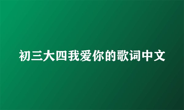 初三大四我爱你的歌词中文