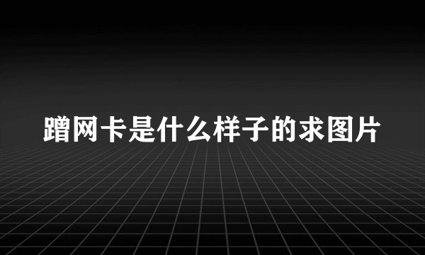 蹭网卡是什么样子的求图片