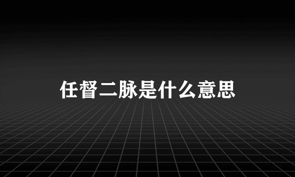 任督二脉是什么意思