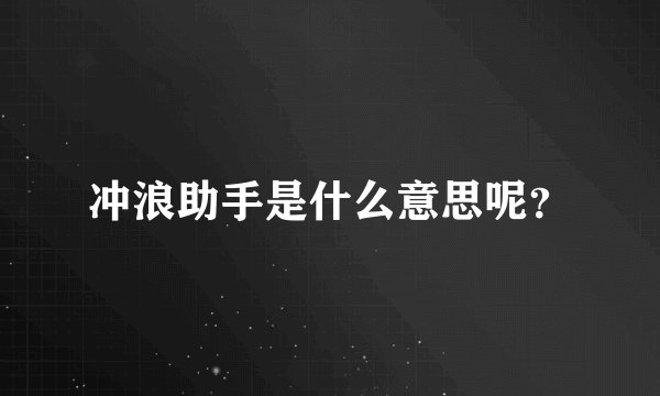 冲浪助手是什么意思呢？