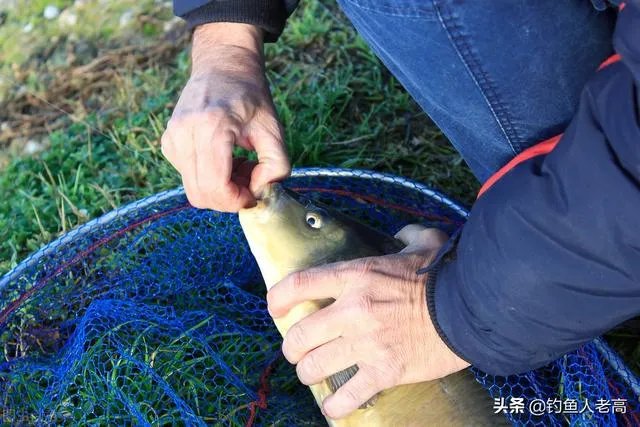 钓鱼人化绍新,李大毛越钓越有钱;更多人“钓鱼穷三年”,请问大家怎么看待这个现象?