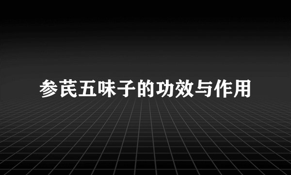 参芪五味子的功效与作用