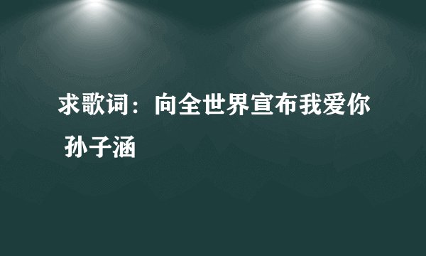 求歌词：向全世界宣布我爱你 孙子涵