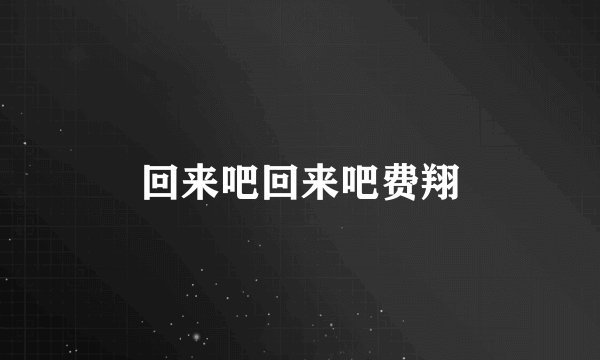 回来吧回来吧费翔