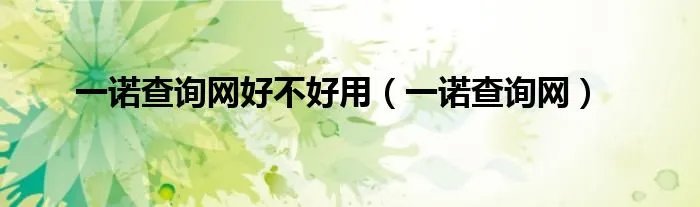 一诺查询网好不好用（一诺查询网）