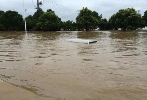 受降雨影响秦淮河洪水发出橙色预警,橙色预警是什么意思?