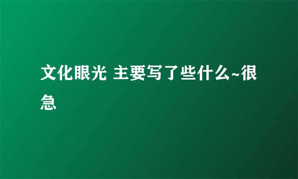 文化眼光 主要写了些什么~很急