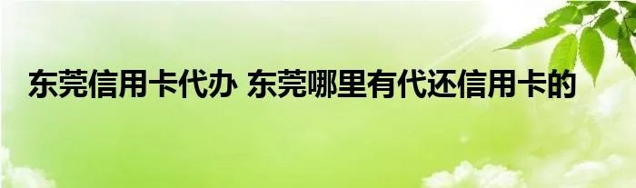 东莞信用卡代办 东莞哪里有代还信用卡的
